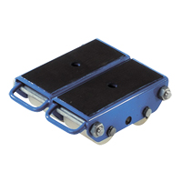 Pakrol 4-Wheel Polyurethane Skate Advanced Consulting and Training Ltd.