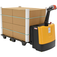 Fully Powered Electric Pallet Truck, 3300 lbs. Cap., 48" L x 28.25" W Advanced Consulting and Training Ltd.