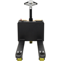 Fully Powered Electric Pallet Truck With  Scale, 3300 lbs. Cap., 48" L x 28.25" W Advanced Consulting and Training Ltd.