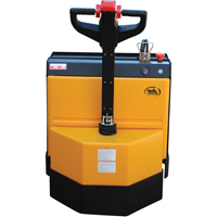 Fully Powered Electric Pallet Truck, 4500 lbs. Cap., 48" L x 30.25" W Advanced Consulting and Training Ltd.