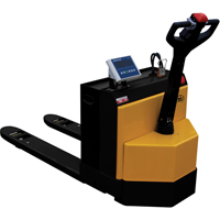 Fully Powered Electric Pallet Truck With  Scale, 4500 lbs. Cap., 48" L x 30.25" W Advanced Consulting and Training Ltd.