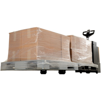 Fully Powered Electric Pallet Truck With  Stand-On Platform, 4500 lbs. Cap., 96" L x 30" W Advanced Consulting and Training Ltd.
