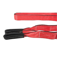 Polyester Sling, Double Ply, Twisted Eye, Type 4, 2'' W x 8' L, 6200 lbs. Vertical Cap. Advanced Consulting and Training Ltd.
