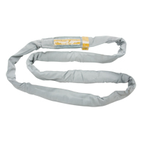 &eacute;lingue de levage en polyester ronde, Gris, 8" la x 20' lo, 32000 lb Charge verticale Advanced Consulting and Training Ltd.