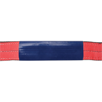 Manchon de protection 1' pour &eacute;lingue Advanced Consulting and Training Ltd.