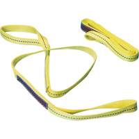 &eacute;lingue en nylon, Pli Double, Oeillet double, Type 3, 1" la x 6' lo, Limite de charge verticale 1000 lb Advanced Consulting and Training Ltd.