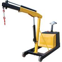 Grue d'atelier &eacute;lectrique, Lev&eacute;e 8,8', 1500 lb (0,75 tonne), 44-1/4" bras, 62-1/4" ha Advanced Consulting and Training Ltd.