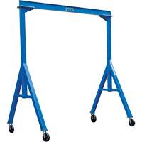 Grue sur portique &agrave; hauteur fixe Advanced Consulting and Training Ltd.