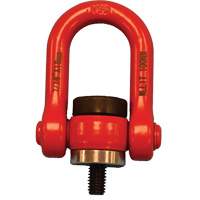 Anneau de levage pivotant VQ pour palan, M8, Longueur du filetage 12 mm, Acier alli&eacute; Advanced Consulting and Training Ltd.