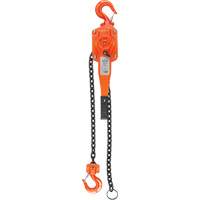 Lever Hoist, 10' Lift, 1500 lbs. (0.75 tons) Capacity, Alloy Steel Chain Advanced Consulting and Training Ltd.
