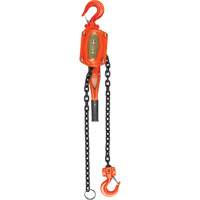 Lever Hoist, 10' Lift, 1500 lbs. (0.75 tons) Capacity, Alloy Steel Chain Advanced Consulting and Training Ltd.