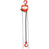 Chain Hoist, 10' Lift, 10000 lbs. (5 tons) Capacity, Alloy Steel Chain Advanced Consulting and Training Ltd.