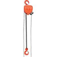 Chain Hoist, 10' Lift, 10000 lbs. (5 tons) Capacity, Alloy Steel Chain Advanced Consulting and Training Ltd.