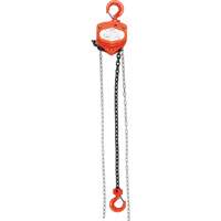 Chain Hoist, 20' Lift, 1000 lbs. (0.45 tons) Capacity, Alloy Steel Chain Advanced Consulting and Training Ltd.