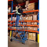 CSA-Certified Rolling Step Ladder, 5 Steps, 22" Step Width, 46" Platform Height, Steel Advanced Consulting and Training Ltd.