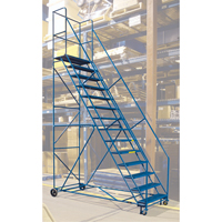 CSA-Certified Rolling Step Ladder with Locking Step, 14 Steps, 30" Step Width, 128" Platform Height, Steel Advanced Consulting and Training Ltd.