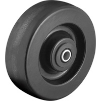 Roue ph&eacute;nolique Advanced Consulting and Training Ltd.