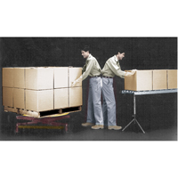 Plateformes de levage manuelles Pallet Pal, 43-5/8" lo x 43-5/8" la, Capacit&eacute; 4500 lb Advanced Consulting and Training Ltd.