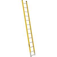 Single Section Straight Ladder - 6100 Series, 12', Fibreglass, 375 lbs., CSA Grade 1AA Advanced Consulting and Training Ltd.