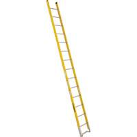 Single Section Straight Ladder - 6100 Series, 14', Fibreglass, 375 lbs., CSA Grade 1AA Advanced Consulting and Training Ltd.
