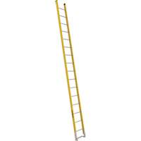 Single Section Straight Ladder - 6100 Series, 16', Fibreglass, 375 lbs., CSA Grade 1AA Advanced Consulting and Training Ltd.