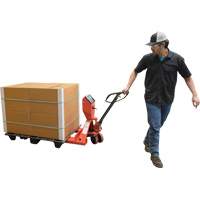 Transpalette, 48" lo x 27,5" la, Capacit&eacute; de 5000 lb Advanced Consulting and Training Ltd.