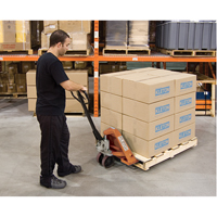 Heavy-Duty Manual Pallet Truck, Steel, 48" L x 27" W, 5500 lbs. Capacity Advanced Consulting and Training Ltd.