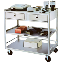 Supports en acier inoxydable pour &eacute;quipement, 300 lb Capacit&eacute;, Acier inoxydable, 20"/20-1/8" x la, 35" x ha, 37"/36-3/8" p, D&eacute;mont&eacute;, 2 tirroirs Advanced Consulting and Training Ltd.