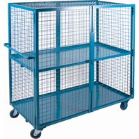 Wire Mesh Truck, 2 Tiers, 63" L x 32" W x 62.5" H, 1200 lbs. Cap. Advanced Consulting and Training Ltd.
