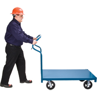 Ergonomic Platform Trucks Advanced Consulting and Training Ltd.