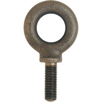 Metric Eyebolt, 51 mm Dia., 70 mm L, 11400 lbs. (5.7 tons) Capacity Advanced Consulting and Training Ltd.