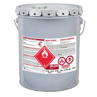 Methyl Hydrate, Pail Advanced Consulting and Training Ltd.