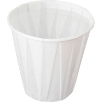 Pleated Cup, Paper, 5 oz., White Advanced Consulting and Training Ltd.
