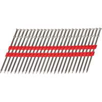 16D Collated Duplex Nails Advanced Consulting and Training Ltd.