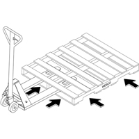 4-Way Hydraulic Pallet Truck, 48" L x 7" W, 4000 lbs. Capacity Advanced Consulting and Training Ltd.