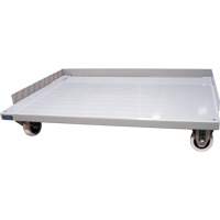 Mobile Dolly Base for Deep Door Storage Cabinets, 38" W x 24" D x 7" H, 1500 lbs. Capacity Advanced Consulting and Training Ltd.