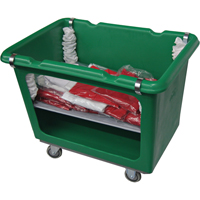 Spring Platform for Starcart Box Truck Advanced Consulting and Training Ltd.