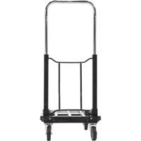 Chariot &agrave; plateforme repliable, Acier inoxydable, 300 lb, 28" lo x 16" la, Hauteur 33-1/2" Advanced Consulting and Training Ltd.