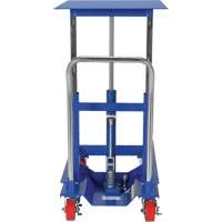 Lift Table, 30"L x 24"W, Steel, 2000 lbs. Capacity Advanced Consulting and Training Ltd.
