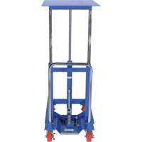 Lift Table, 30"L x 24"W, Steel, 2000 lbs. Capacity Advanced Consulting and Training Ltd.