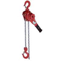 VQ Series Super Light Lever Hoist, 10' Lift, 2300 lbs. (1.6 tons) Capacity, Zinc Chain Advanced Consulting and Training Ltd.