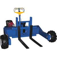 Transpalette motoris&eacute; tout terrain Advanced Consulting and Training Ltd.