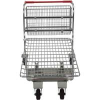 Chariot en treillis emboîtable, Acier, 28-3/4" x 37-1/16" x 59-5/8", Capacit&eacute; 275 lb Advanced Consulting and Training Ltd.