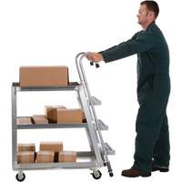 Chariot de pr&eacute;l&egrave;vement de stock, Aluminium, 21-7/8" la x 40" p, 3 tablettes, Capacit&eacute; 660 lb Advanced Consulting and Training Ltd.