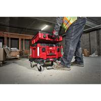 Packout Dolly Advanced Consulting and Training Ltd.