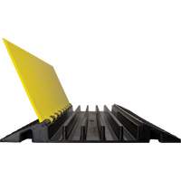 Protecteur de c&acirc;ble droit robuste Powerhouse, 5 canaux, 36" lo x 19,75" la x 2,25" h Advanced Consulting and Training Ltd.