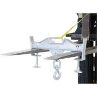 Double Swivel Hoisting Hook, 7-1/4" x  2-1/2" Fork Pocket Advanced Consulting and Training Ltd.