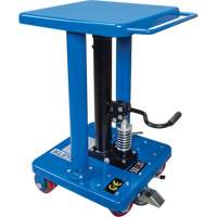 Hydraulic Work Table, 18" L x 18" W, Steel, 500 lbs. Capacity Advanced Consulting and Training Ltd.