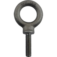 Alloy Steel Eye Bolt, 1" Dia., 1-1/4" L, 1480 lbs. (0.74 tons)/1480 lbs. Capacity Advanced Consulting and Training Ltd.