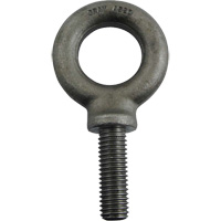 Alloy Steel Eye Bolt, 1-3/8" Dia., 1-3/4" L, 4300 lbs./4300 lbs. (2.15 tons) Capacity Advanced Consulting and Training Ltd.